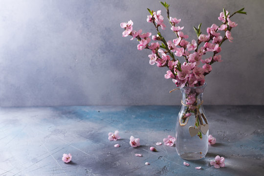 Fototapeta pink cherry blossom twigs in glass vase on gray background
