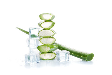 Aloe Vera Plant and Ice Cubes on White Background