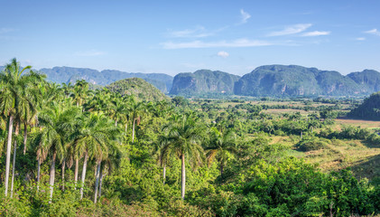 Fototapeta na wymiar Panorama of Vinales valley, Cuba
