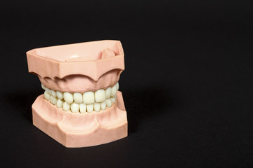 A pair of plastic dentures