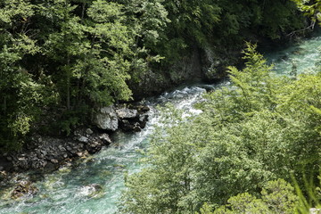 Montenegro. Durmitor National Park. Tara River Canyon