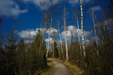 D, Baden-Württemberg, Oberschwaben, Bad Wurzach, Naturschutzgebiet, Wurzacher Ried