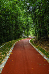 Obraz premium Countryside road scenery