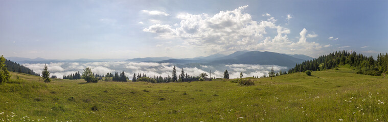Panorama of Carpathian mountains in summer sunny day. © bilanol