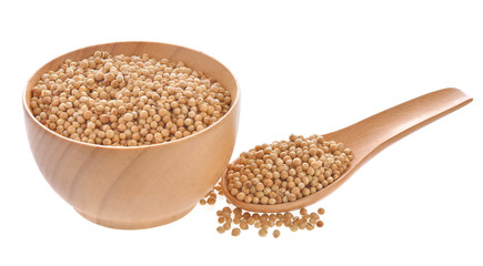 Coriander seeds in a wooden spoon on a white background