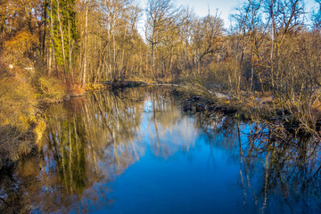Abendlicht fällt auf das Ufer an der Würm