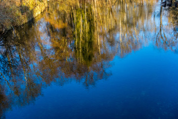 Abenddämmerung und Bäume spiegeln sich im Wasser