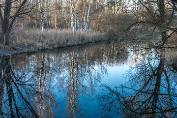 Spiegelung der winterlichen B&auml;ume im Wasser