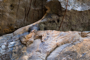 Stone texture background.