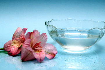 Fototapeta na wymiar Wellness concept with bowl of crystal clean water and flower lillies