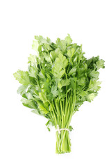 Fototapeta premium bunch of parsley isolated