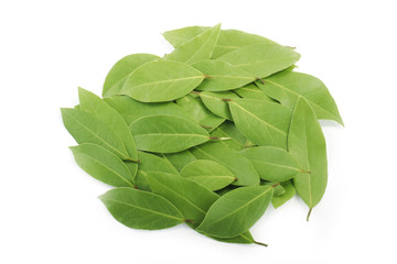 heap of laurel leaves  isolated
