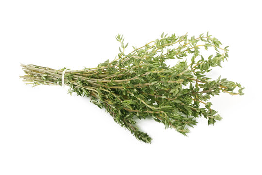 bunch of thyme isolated