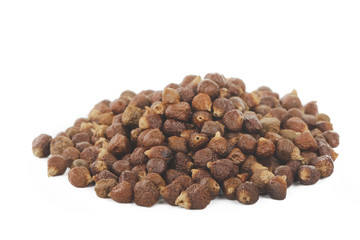heap of Aframomum melegueta isolated