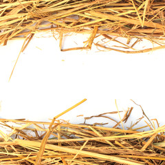 a pile of straw on a white background