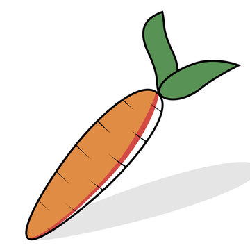 Large Carrot Drawing