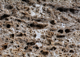 Shell rock building blocks texture