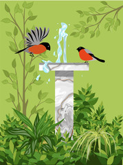 fountain with birds
