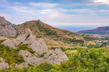 Fototapeta na wymiar Coast of the Black Sea in cloudy weather, Crimea. Dense thickets of trees on the slopes of the mountains in the foreground