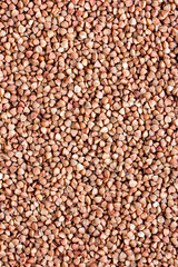 buckwheat grains background