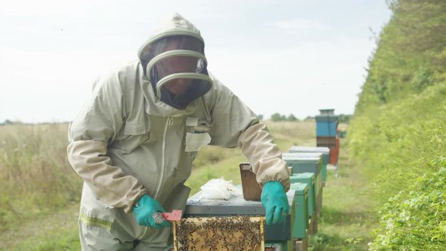  Portrait smiling bee keeper holding honeycomb from the hive