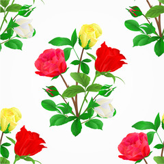 Seamless texture Bouquet of rosebuds red white and yellow roses festive background vector illustration