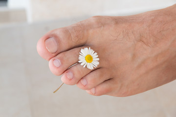 Clean right male foot on a light background holding a small Daisy between fingers. Medical pedicure concept