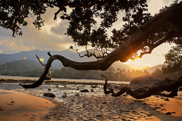 Sunset on the island of Tioman