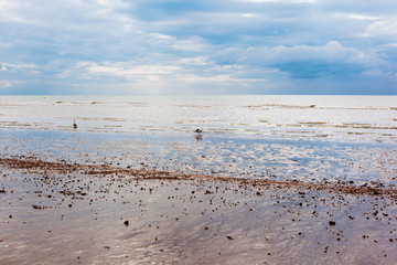 Low tide in Pevensey bay