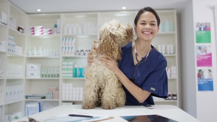 Portrait of smiling veterinarian with cute dog in clinic