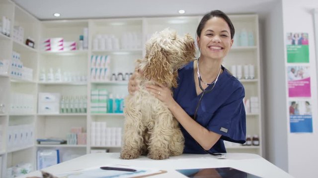  Portrait of smiling veterinarian with cute dog in clinic