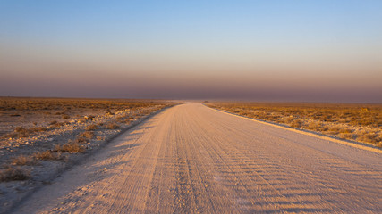 Gravel road in the Etosha National Park, Namibia