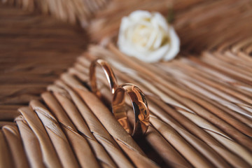 Wedding rings of the bride and groom.