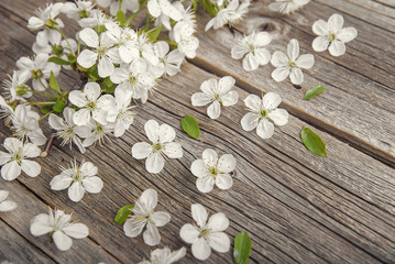 Branches of a flowering tree on wooden boards.