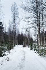 Empty snowy forest road in winter