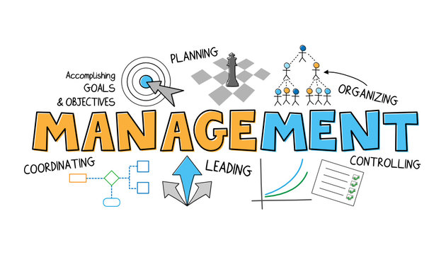 MANAGEMENT Vector Concept Icons