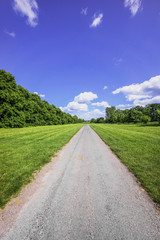 Fototapeta na wymiar dirt track path in the countryside