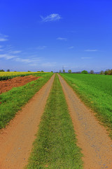 dirt track path in the countryside