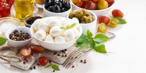 ingredients for salad with mozzarella on white background