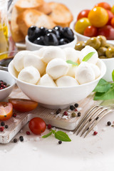 ingredients for salad with mozzarella, vertical, closeup