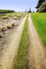 Fototapeta na wymiar dirt track path in the countryside