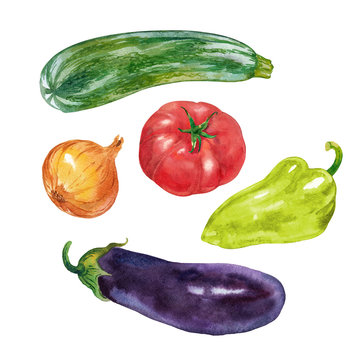 Vegetables. Zucchini, tomato, pepper, eggplant, onion. Watercolor.