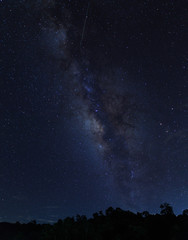 Nice stars in blue sky night time scene with milky way and the forest.