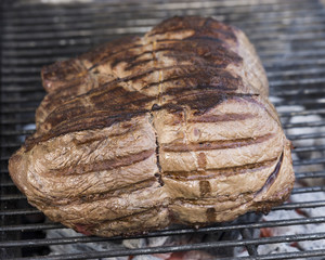 Pferdefilet Nr 10 - 011