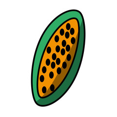 papaya tasty fruit fresh vector illustration eps 10