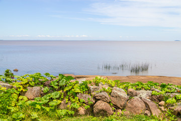 Guaiba lake landscape