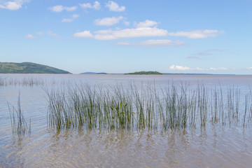 Guaiba lake landscape