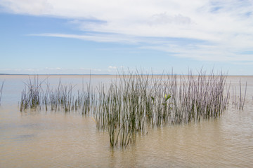 Guaiba lake landscape