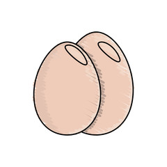 egg food fresh breakfast vector illustration eps 10