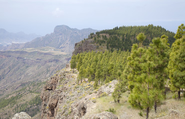 central Gran Canaria in April